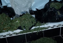 Un youtuber se cuela en la mansión de un exjugador del Liverpool y descubre un alijo de cannabis marihuana incautada