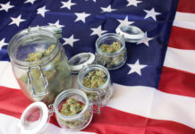 United States USA government and cannabis law, marijuana buds in jars. Flag background with copy space. Weed industry.