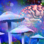 Mushrooms and mental health as Psychedelic drug or psychedelics hallucinogenic drugs and hallucinogens representing medicine for brain disorders in a 3D illustration style.