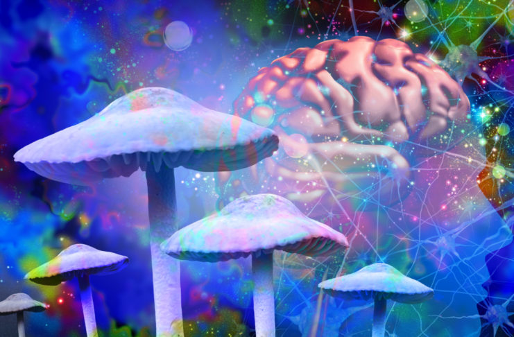 Málaga reúne a expertos para analizar los psicodélicos en salud mental Mushrooms and mental health as Psychedelic drug or psychedelics hallucinogenic drugs and hallucinogens representing medicine for brain disorders in a 3D illustration style.