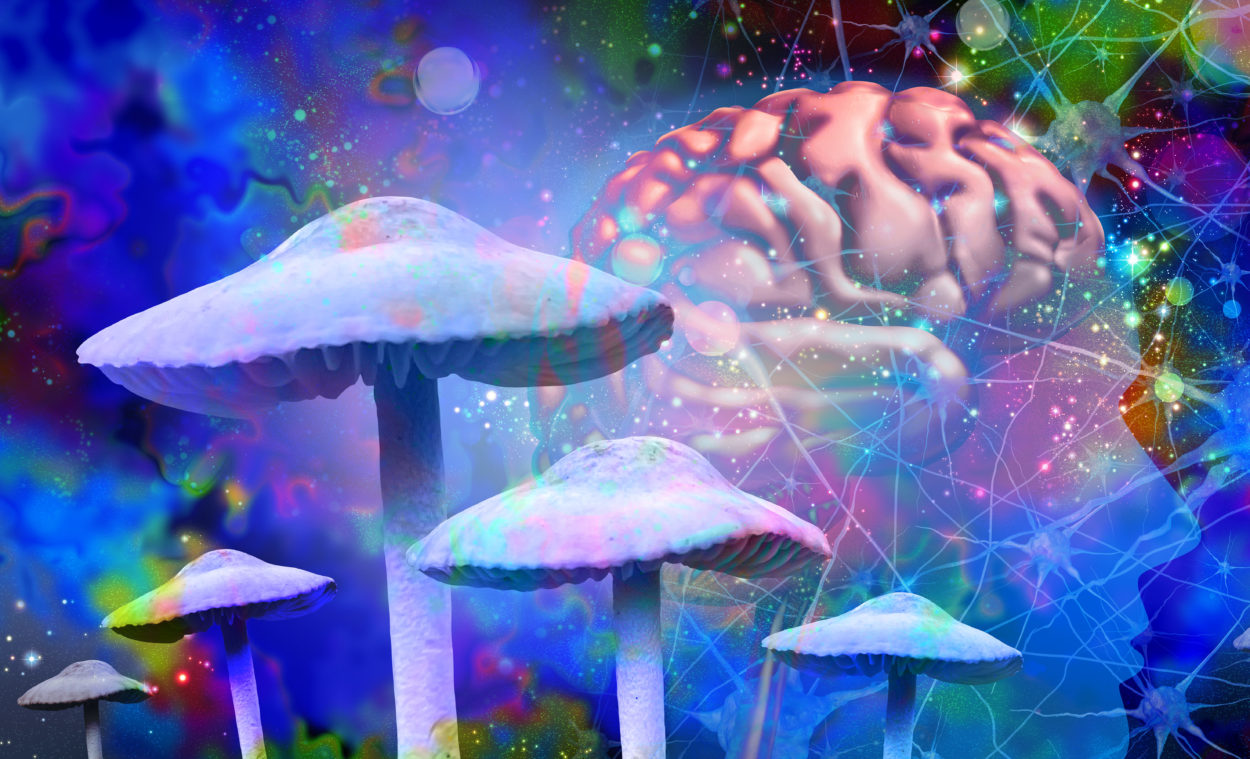 Mushrooms and mental health as Psychedelic drug or psychedelics hallucinogenic drugs and hallucinogens representing medicine for brain disorders in a 3D illustration style.