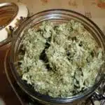 Almacenamiento de cannabis a buen precio: Cómo conservar tu hierba sin arruinarte Almacenamiento de cannabis a buen precio: Cómo conservar tu hierba sin arruinarte