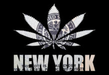 Poster with New York and marijuana on black background.