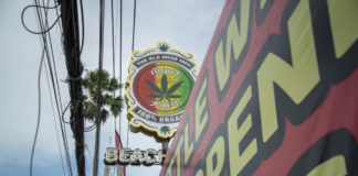 a cannabis Shop in the city of Jomtien near the city of Pattaya in the Province of Chonburi in Thailand,  Thailand, Jomtien, November, 2022