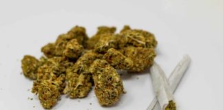 Cannabis legalization in canada