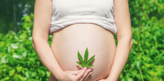 Pregnant belly with cannabis leaf. Selective focus. people.