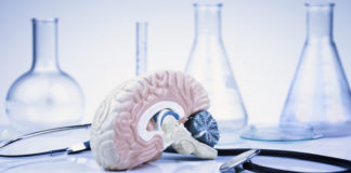 Descubren una nueva forma de clasificar drogas psicodélicas según su impacto en el cerebro