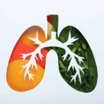 World lung day or lung healthy concept on white background