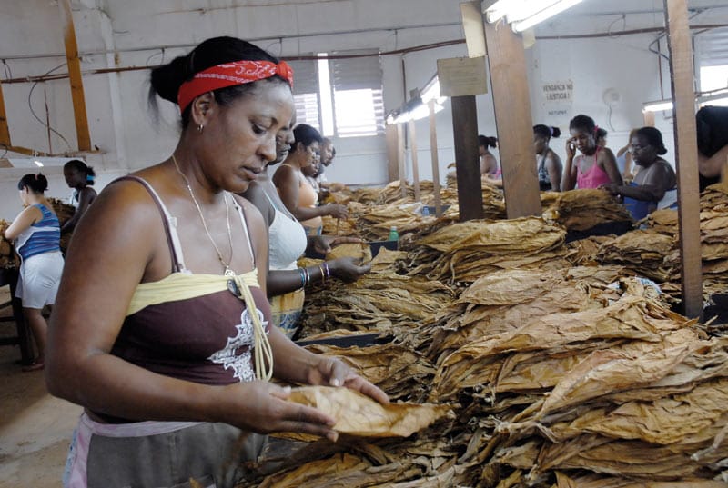 Fábrica de tabaco en Cuba