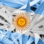 bandera argentina con hojas de marihuana