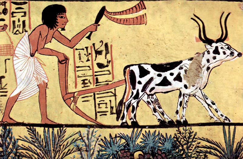 Los partidarios de la agricultura biointensiva afirman que ya se practicaba en la antigüedad.