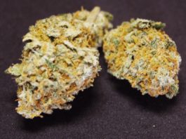 Marihuana medicinal con alto contenido en CBD de un dispensario