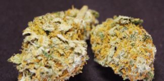 Marihuana medicinal con alto contenido en CBD de un dispensario