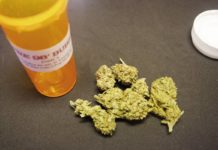 Marihuana medicinal dispensada en farmacias