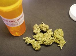 Marihuana medicinal dispensada en farmacias