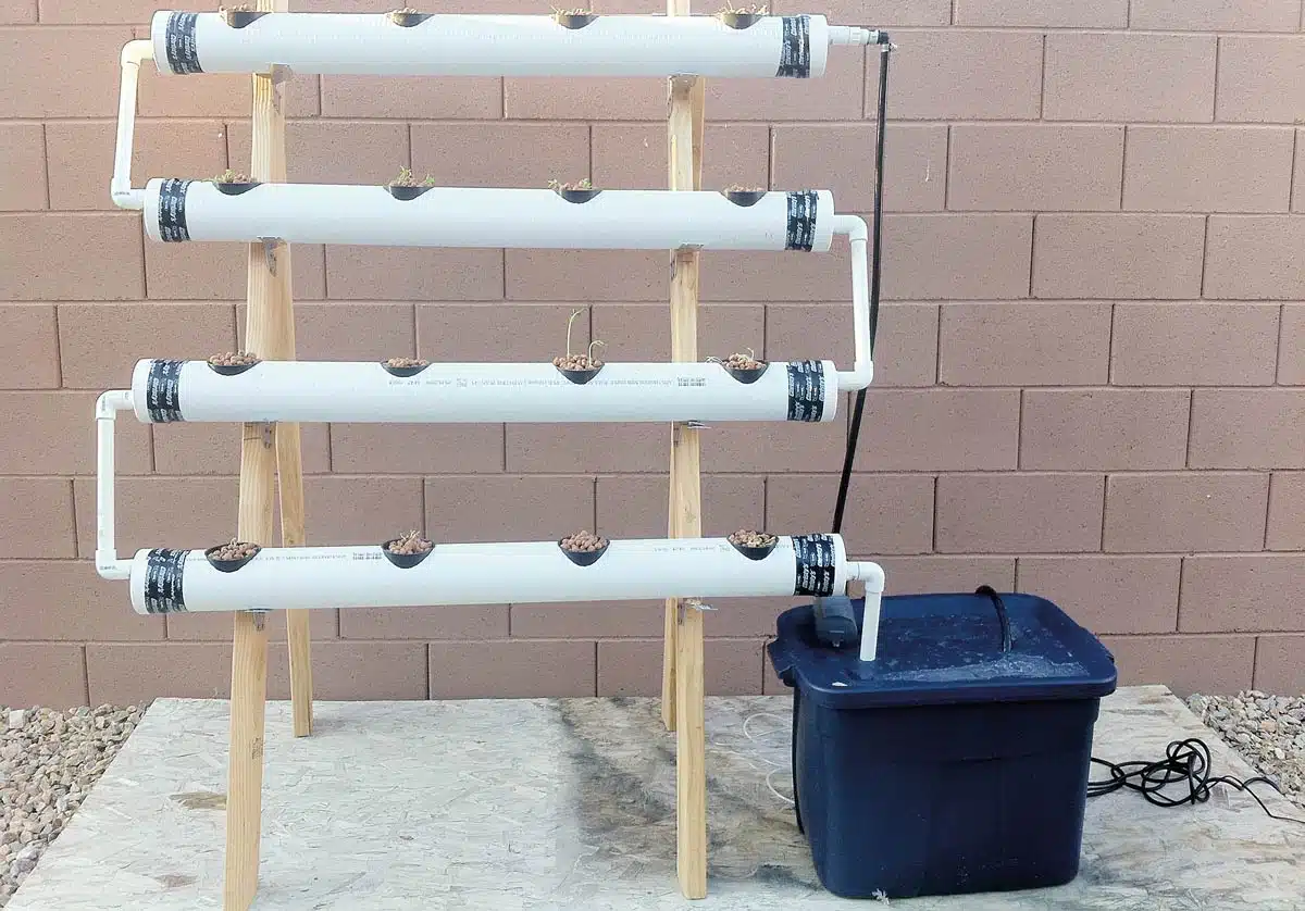 Sencillo sistema hidroponico recirculante casero