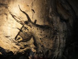 Closeup of a painting on a wall in the cave, a horned animal.