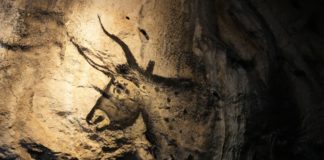 Closeup of a painting on a wall in the cave, a horned animal.