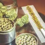 El orden frente al ruido: Weedestiny y la normalización de los clubs de cannabis en España El club de cannabis más exclusivo de Madrid