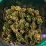 Marijuana hemp flower buds in glass jar, medical marijuana at dispensary