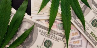The cannabis plant on US dollars. Money with marijuana leaves.