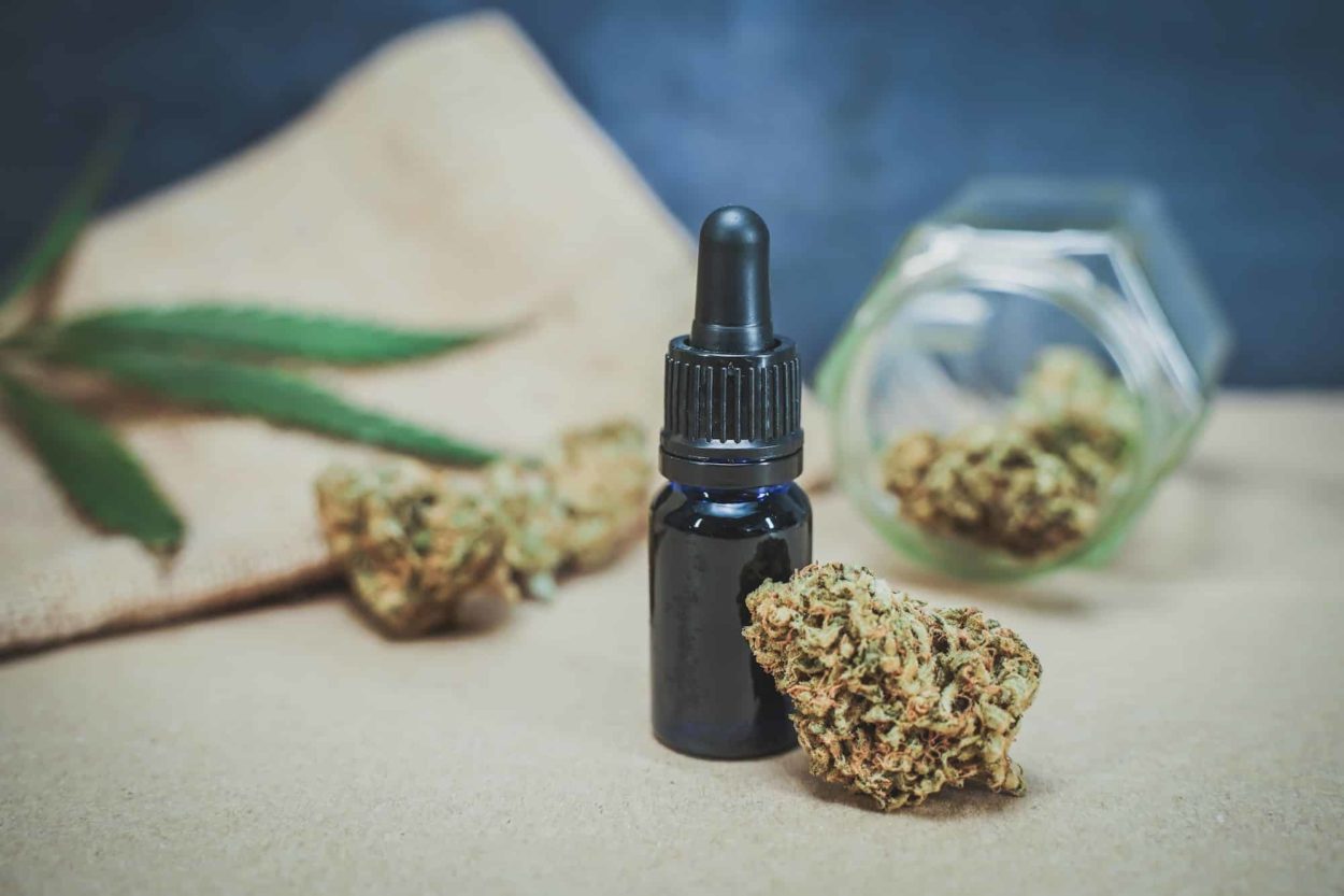 CBD medical marijuana and hemp leaves. Medical cannabis.