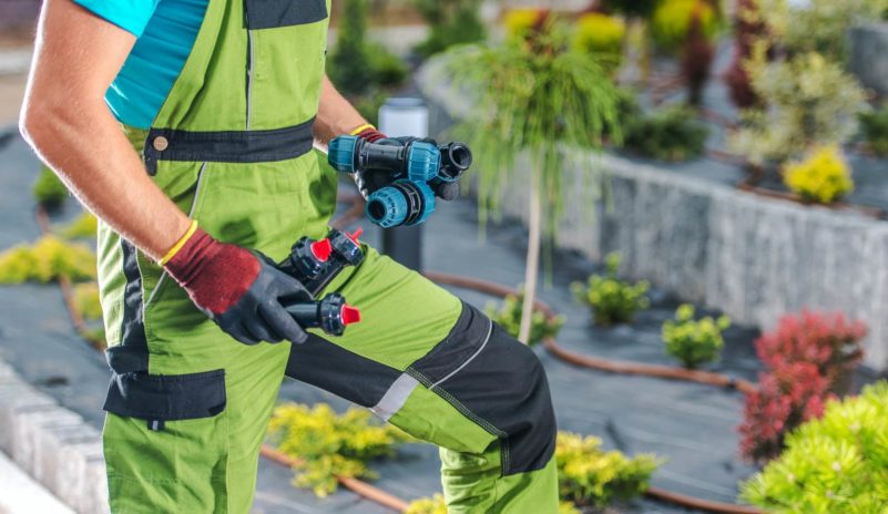 Gardener Holding Drip Irrigation Components