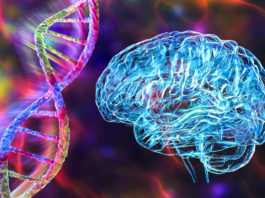 Genetic brain disorders, conceptual 3D illustration. Mutations in the DNA leading to brain diseases. Neurogenetics, neurodegenerative disorders