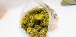 Open bag of weed nugs