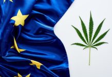 top view of green cannabis leaf near flag of Europe on white background