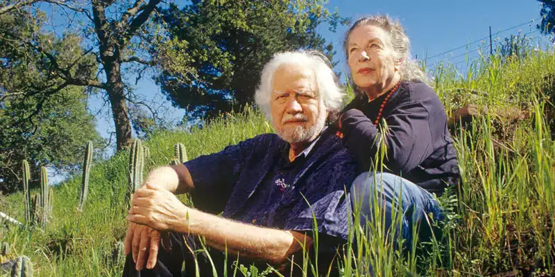 Los Shulgin