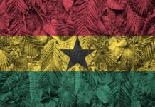 Ghana flag depicted on many leafs of monstera palm trees. Trendy fashionable background