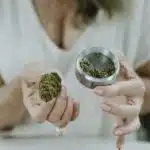 Guía completa para el consumo de cannabis durante la menopausia cannabis y menopausia