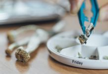 El auge de la microdosis con sustancias psicodélicas entre la élite tecnológica de Silicon Valley Micro Dosing with Psilocybin Magic Mushrooms