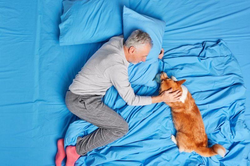 Photo of happy aged bearded man in nightwear plays with dog expresses love and care pose together on