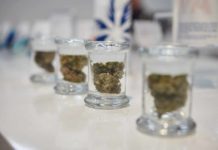 Selective focus shot of a cannabis flower in a small glass jar on a white surface