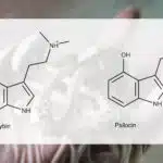 La ciencia detrás de las microdosis de psicodélicos the influence of psilocybin and psilocyb on the physical and emotional state of a person