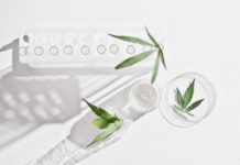 cannabis face cream and hemp leaves in laboratory . petri dishes and glassware on lab table.