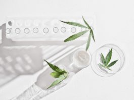cannabis face cream and hemp leaves in laboratory . petri dishes and glassware on lab table.