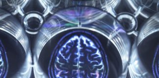 Pipetting potential cure for brain disorders into a multi well plate