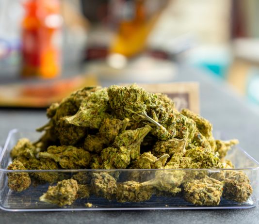 Pink Pepper revoluciona la genética del cannabis con el genoma más completo jamás secuenciado cogollos de marihuana