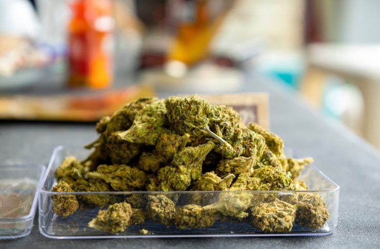 cogollos de marihuana