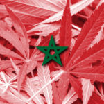 Morocco Flag on cannabis background. Drug policy. Legalization of marijuana