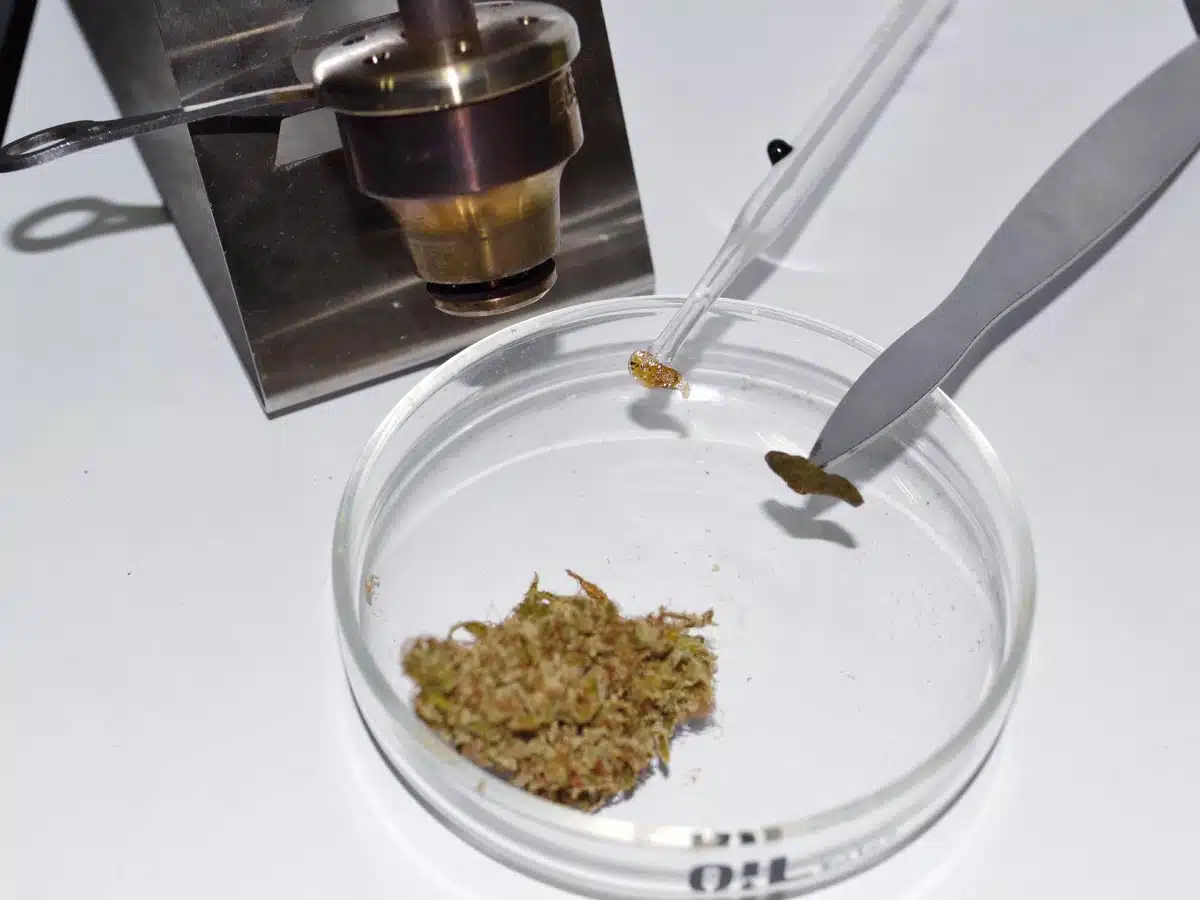 MediHaze CBD de CBD-rich.org en tres formas de consumirla