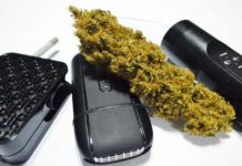 Vaporizando variedades CBD-rich Testeando la misma genética en diferentes vaporizadores