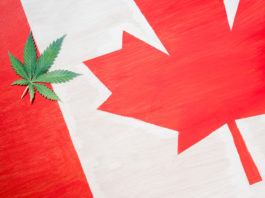 cannabis leaf on canadian flag with copy space, marijuana legalization concept