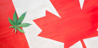 cannabis leaf on canadian flag with copy space, marijuana legalization concept