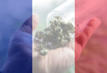 medicinal cannabis use in France for recreational . France cannabis news in 2019