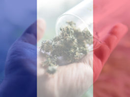 medicinal cannabis use in France for recreational . France cannabis news in 2019