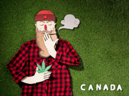 top view of cardboard man in plaid shirt holding cannabis and smoking on green grass background,